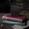no 102 wallet in tobacco buffalo on books - front view