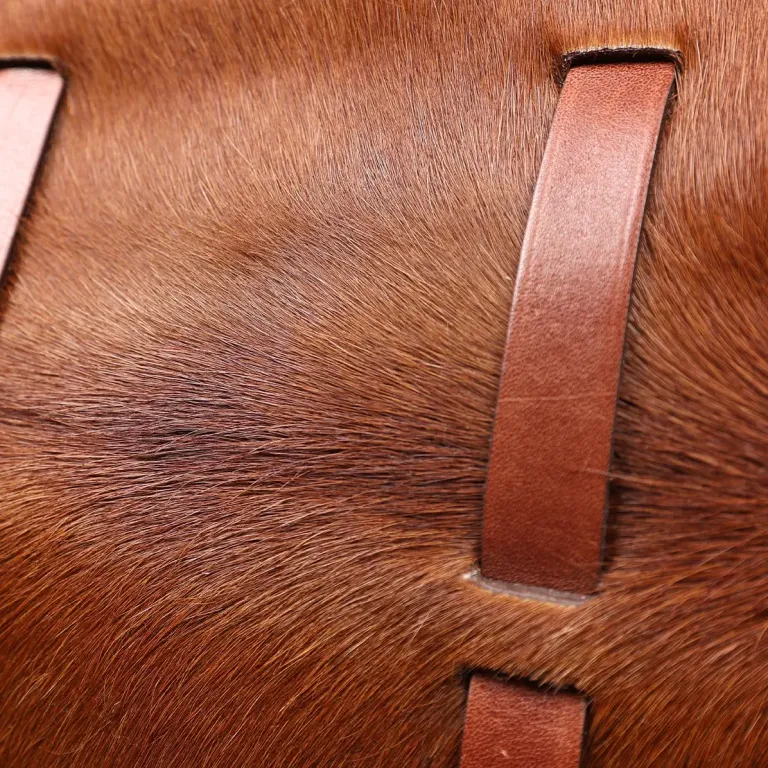 No. 1 Saddlebag Briefcase in rugged American Buffalo front view